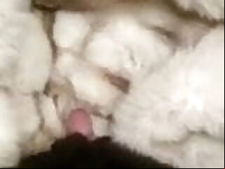 fur cumshot fox fur coat cumshot gay fur